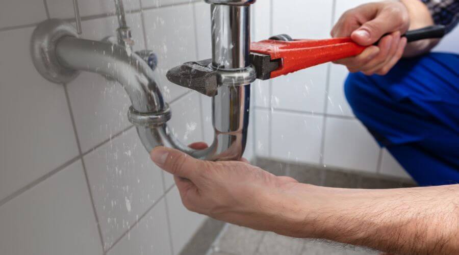 Thermal Imaging Leak Detection in Maple Falls, WA